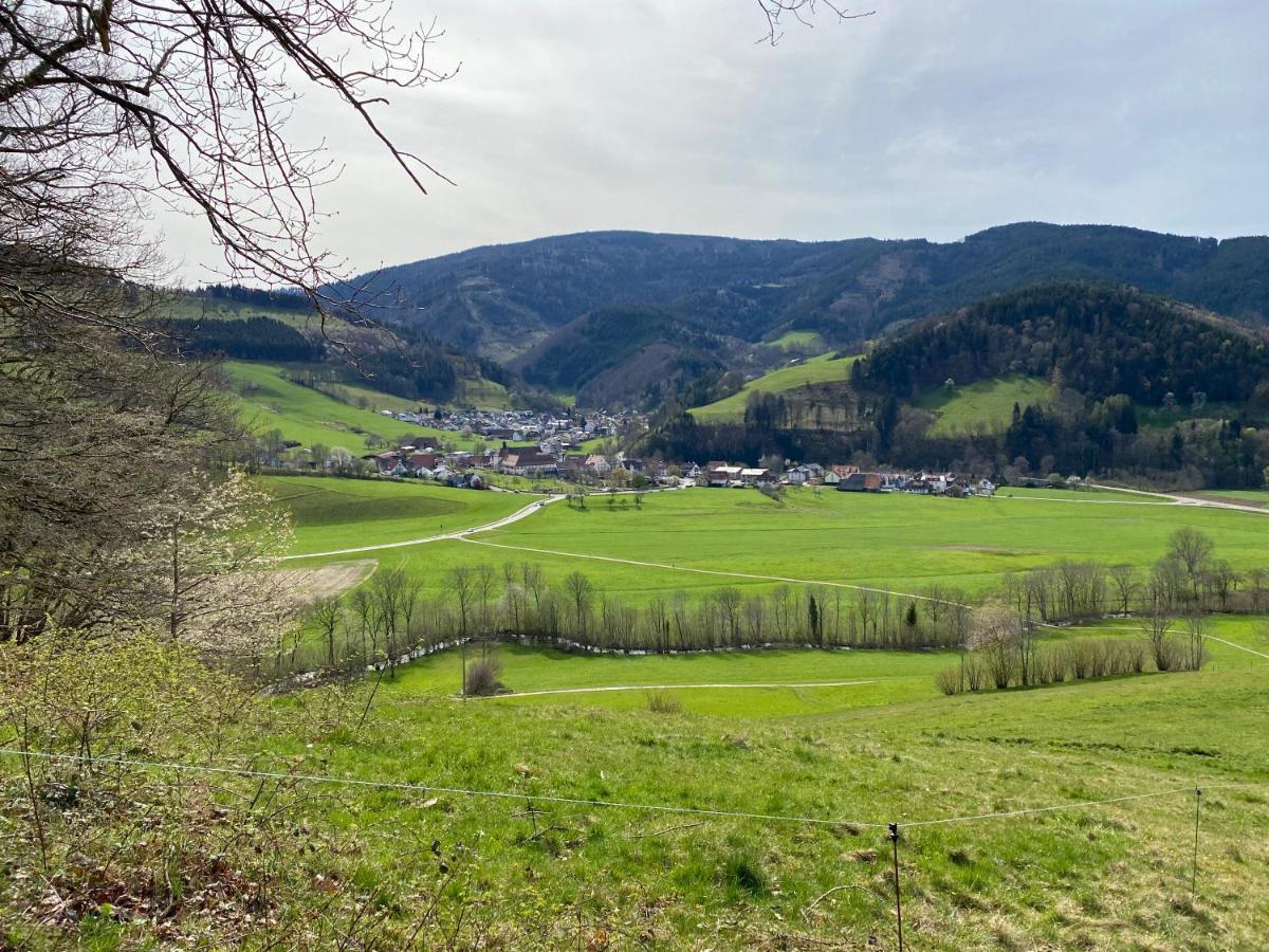Schwarzwaldglueck Apartment Oberried  Esterno foto